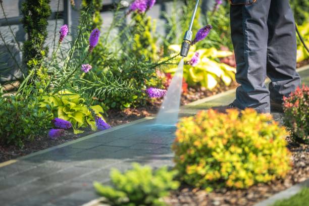 Best Warehouse Cleaning  in Cascade Locks, OR